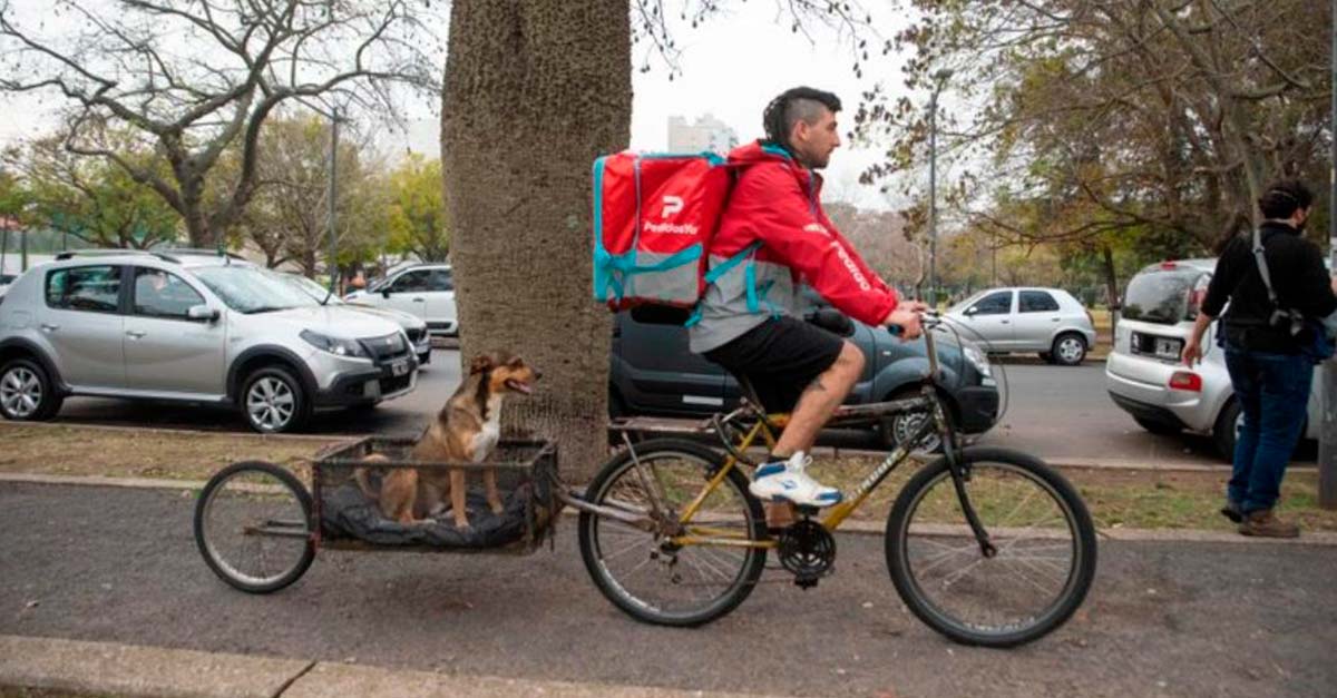 Este chico reparte pedidos en Argentina siempre acompañado de su perrito