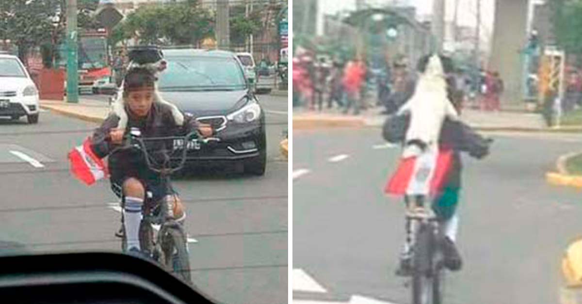 Este niño llevó en su bicicleta a su perrita para que no se perdiera un desfile militar