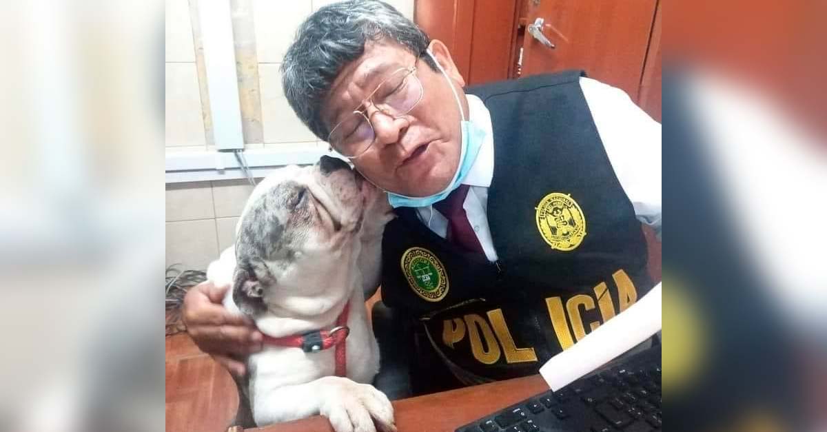 El dulce agradecimiento de una perrito al policía que lo rescató de un hombre malvado
